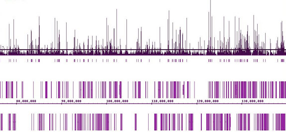 ChIP-Seq data generated by Active Motif Epigenetic Services maps hundreds of MITF binding sites across a 60 million bp region on chromosome 9