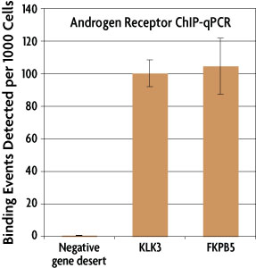 Normalized ChIP-qPCR data generated by Active Motif Epigenetic Services