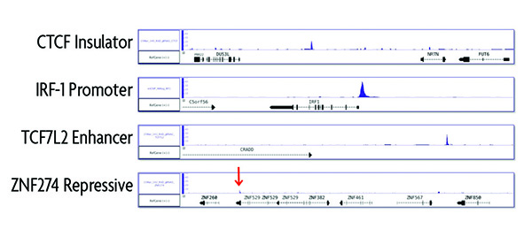 enChIP is validated for use with promoter, enhancer and insulator elements. It is not recommended for use on repressive regions