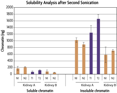 Solubility of chromatin following a second sonication