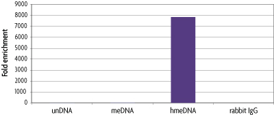 Fold Enrichment of hydroxymethylcytosine DNA from hMeDIP Kit after normalization with negative control rabbit IgG