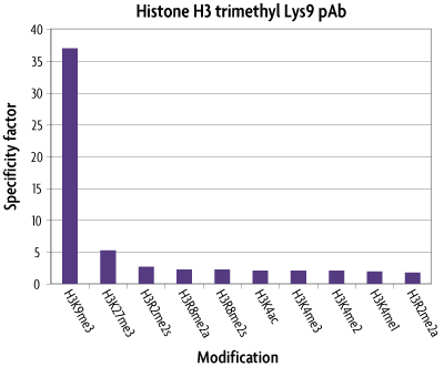 Graphical analysis of histone H3K9me3 antibody array