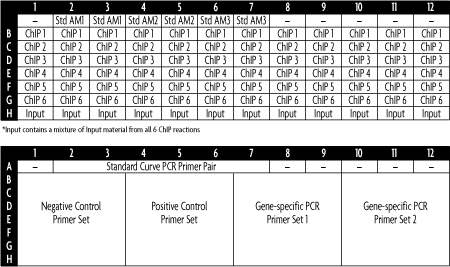 qPCR plate set up for the ChIP-IT qPCR analysis kit