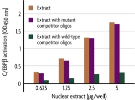 Binding specificity