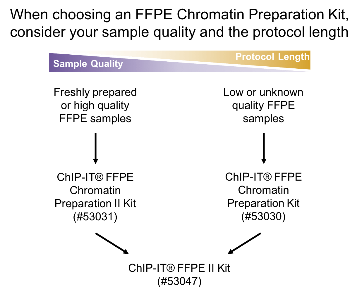 Choosing your FFPE Chromatin Prep Kit.