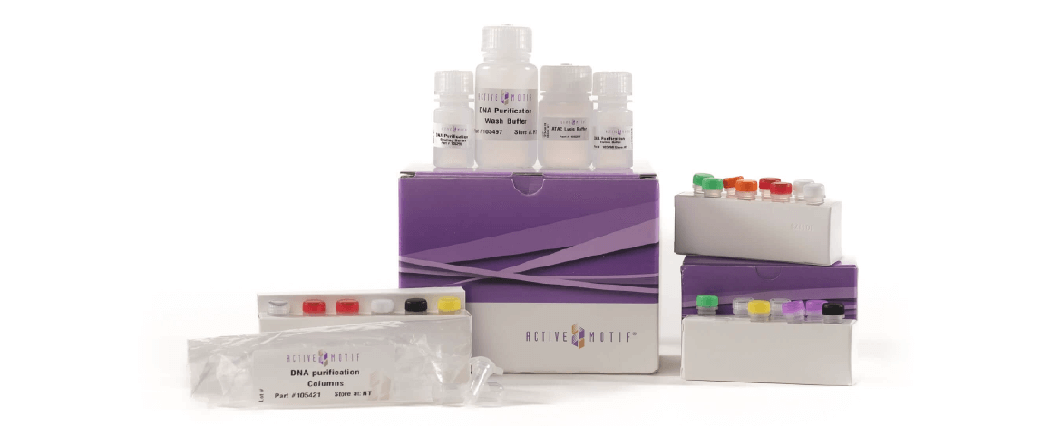 ATAC-Seq Kit