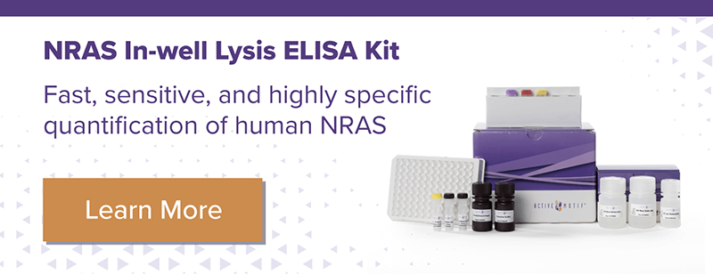 Active Motif NRAS Kit