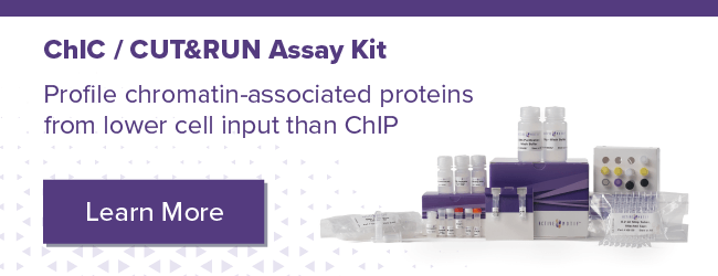 Active Motif ChIC/CUT&RUN Kit