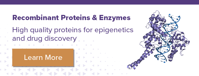 Active Motif Recombinant Proteins & Enzymes