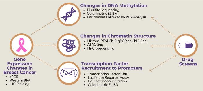 Breast Cancer and Epigenetics