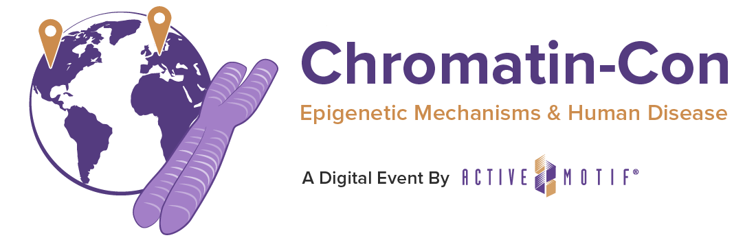 Chromatin-Con 2021