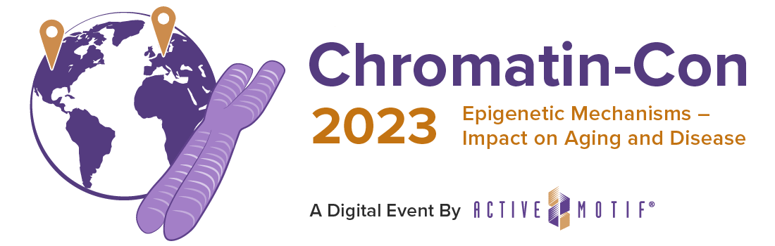 Chromatin-Con 2023