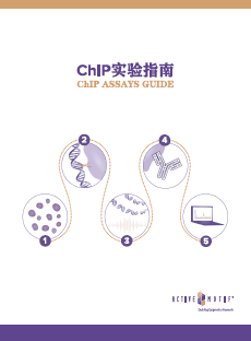 ChIP Assay Guide