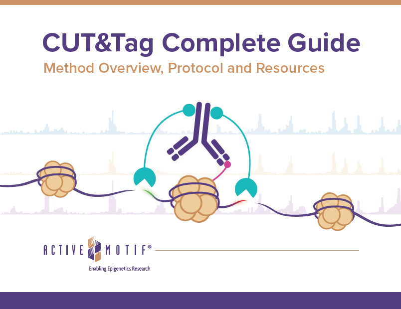 CUT&Tag Complete Guide eBook