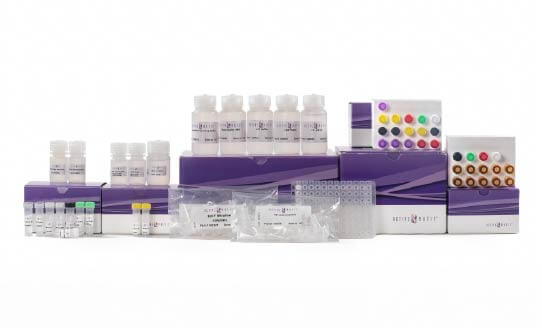 TIP-ChIP™ Assay Kit
