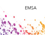 Gelshift™ Chemiluminescent EMSA