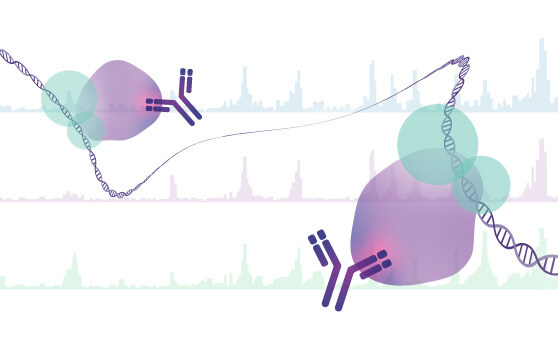 ChIP-Seq Service