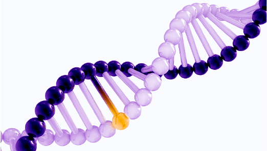 DNA methylation products and services