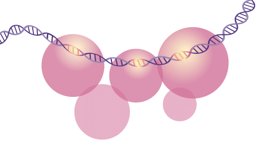 DNA Methylation Products & Services