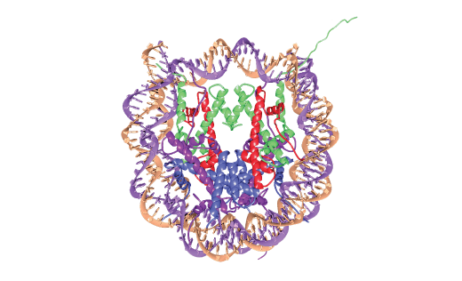 Histone PTM ELISAs