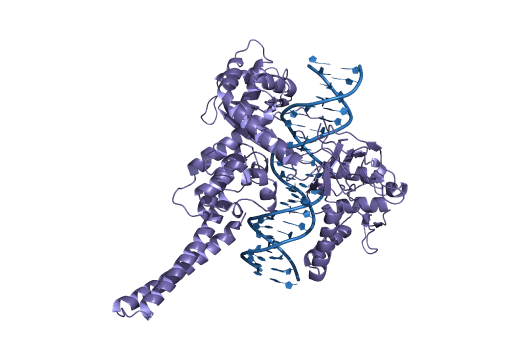 Recombinant Proteins