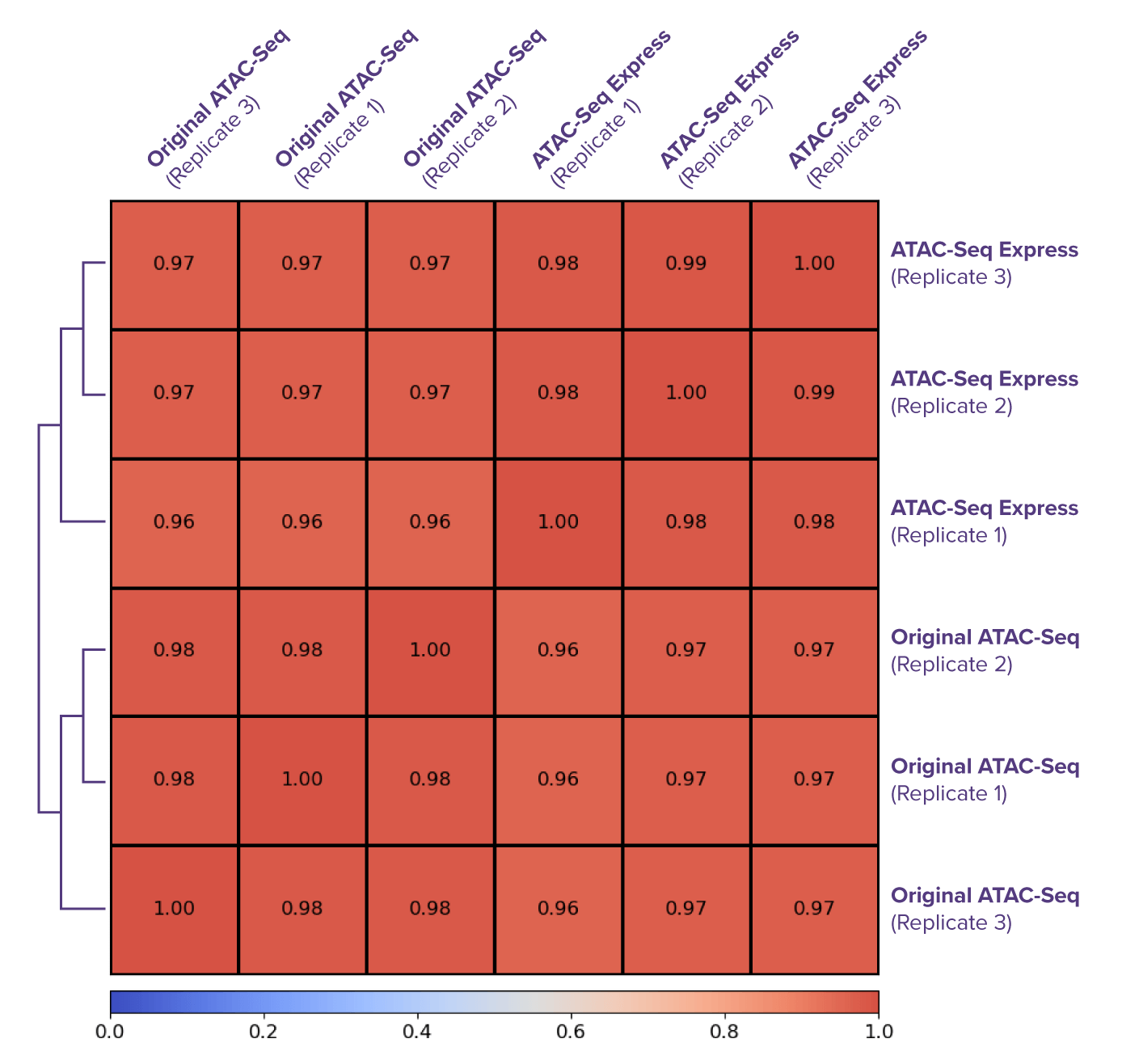 ATAC-Seq Express Correlation Plot Data
