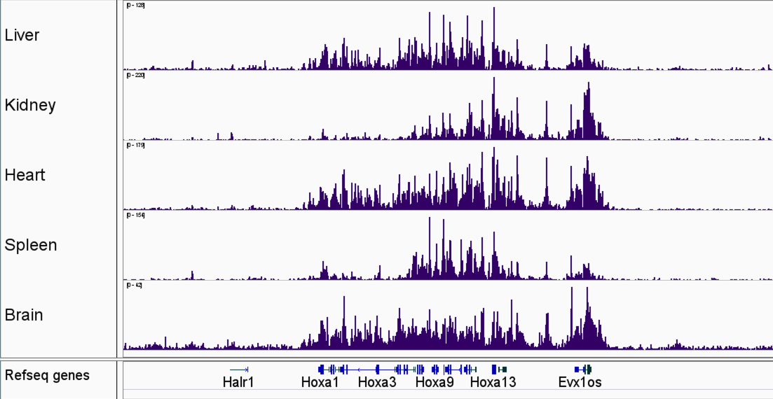 CUT&Tag-IT<sup>&reg;</sup> Assay Kit- Tissue compared with published data