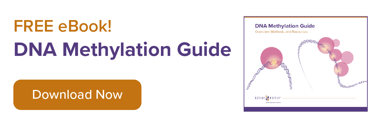 DNA Methylation eBook