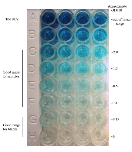 Global DNA Methyl Line 1 Blue Wells