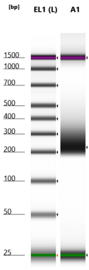 Histone H3 PTM Multiplex Data of Histone Abundance in Mouse Tissue.