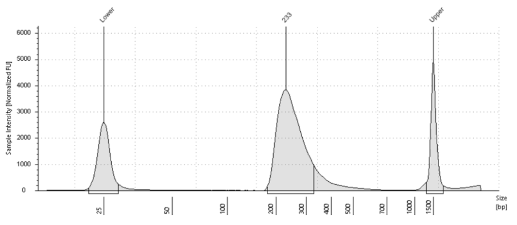 Histone H3 PTM Multiplex Data of Histone Abundance in Mouse Tissue.