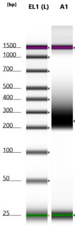 Histone H3 PTM Multiplex Data of Histone Abundance in Mouse Tissue.