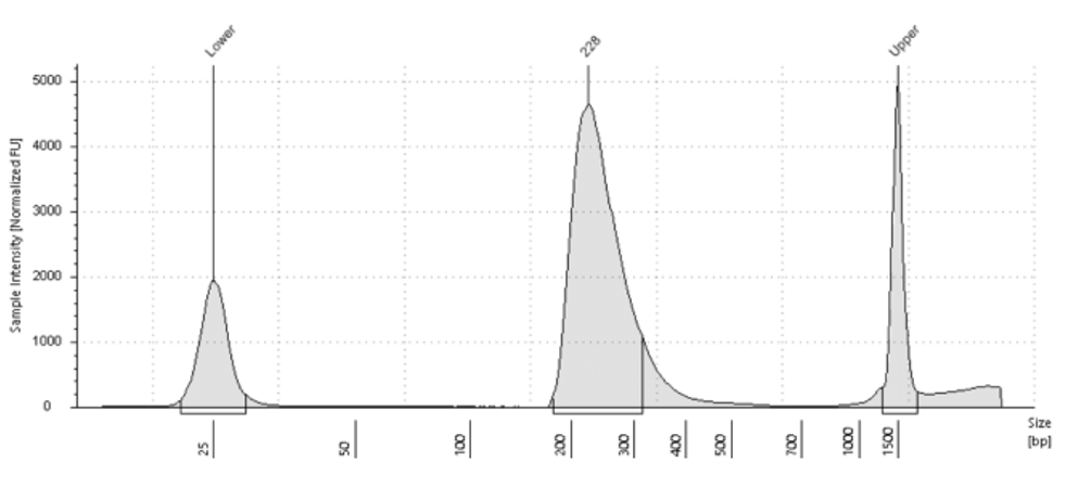 Histone H3 PTM Multiplex Data of Histone Abundance in Mouse Tissue.