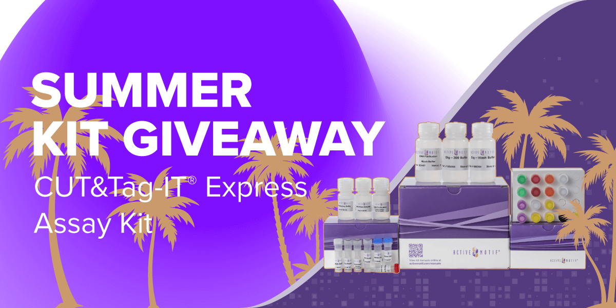 CUT&Tag-IT Express Giveaway