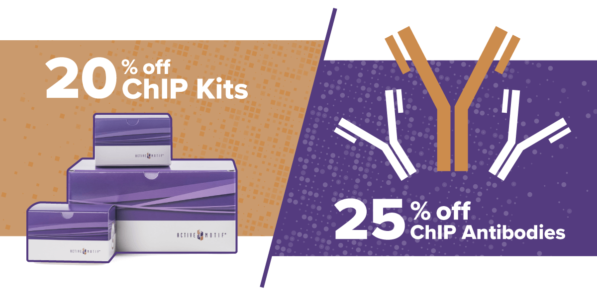 Save 20% on ChIP Kits & 25% on ChIP-Validated Antibodies