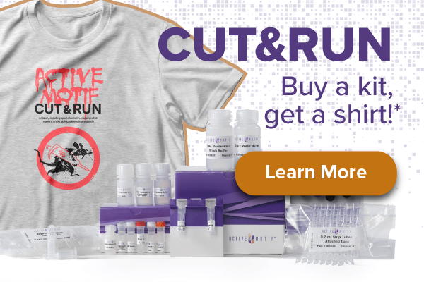 Active Motif CUT&RUN Promotion