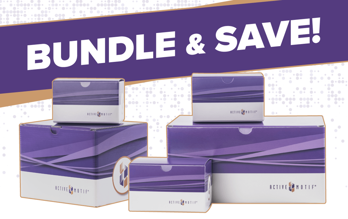 Spike-In Bundle Promotion