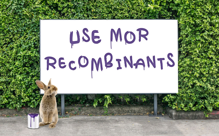 Rabbit painting a sign