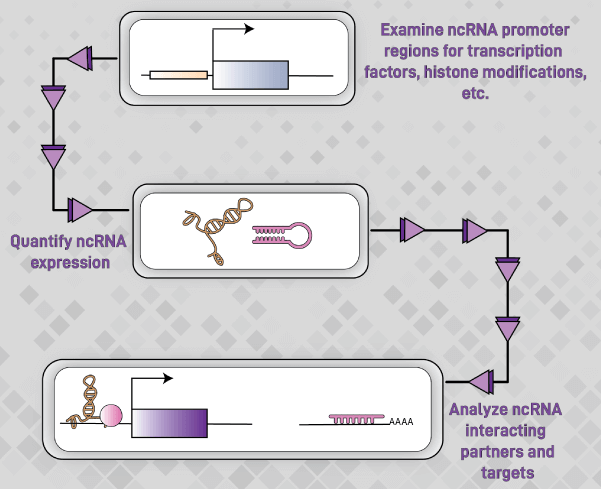 Epigenetics and Prostate Cancer