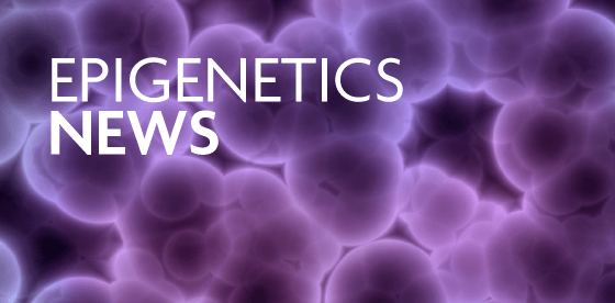 Epigenetics News | Active Motif