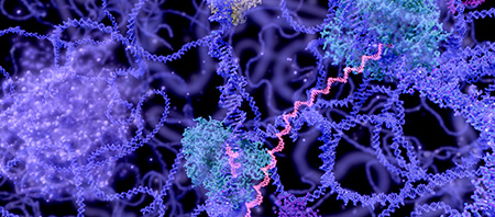 Chromatin interaction analysis