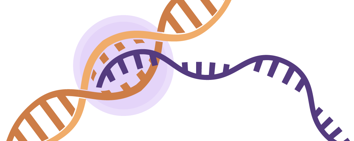 3'-Digital Gene Expression (3'-DGE): Reduce Time & Cost of Library Prep!
