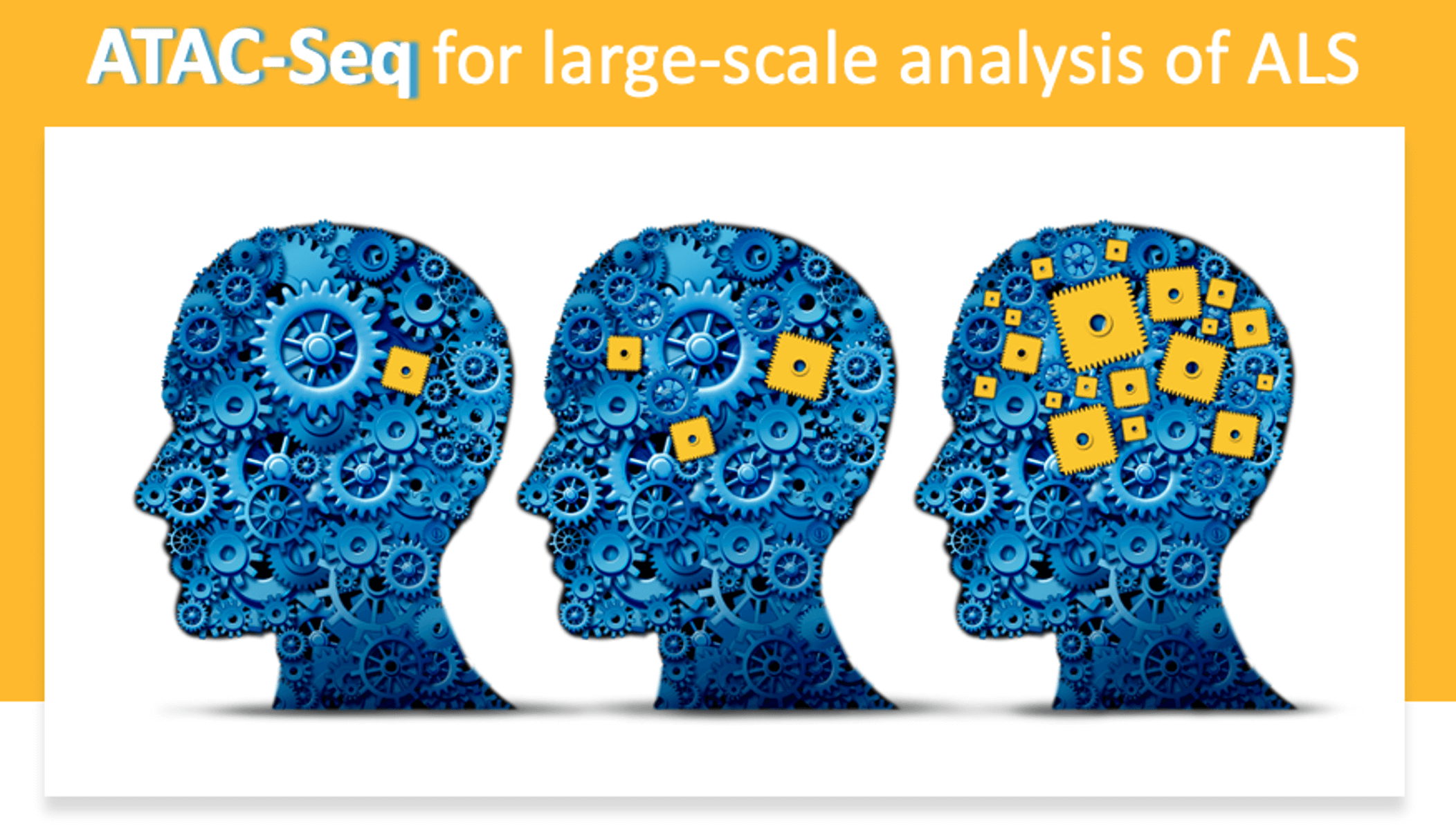 Brain Cogs