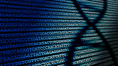 ATAC-Seq