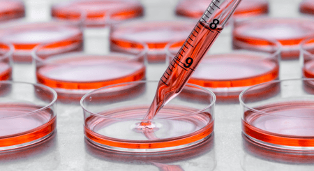 Culturing cells for ChIP
