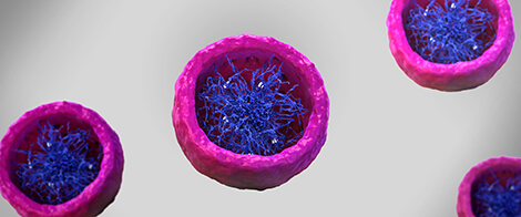 Chromosome topology and regulation of gene expression
