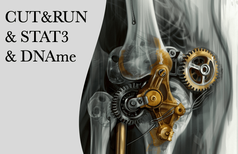 Knee joint with gears