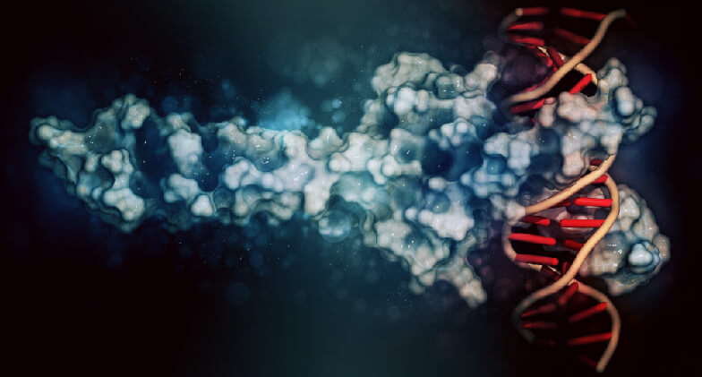 Prions & Epigenetics