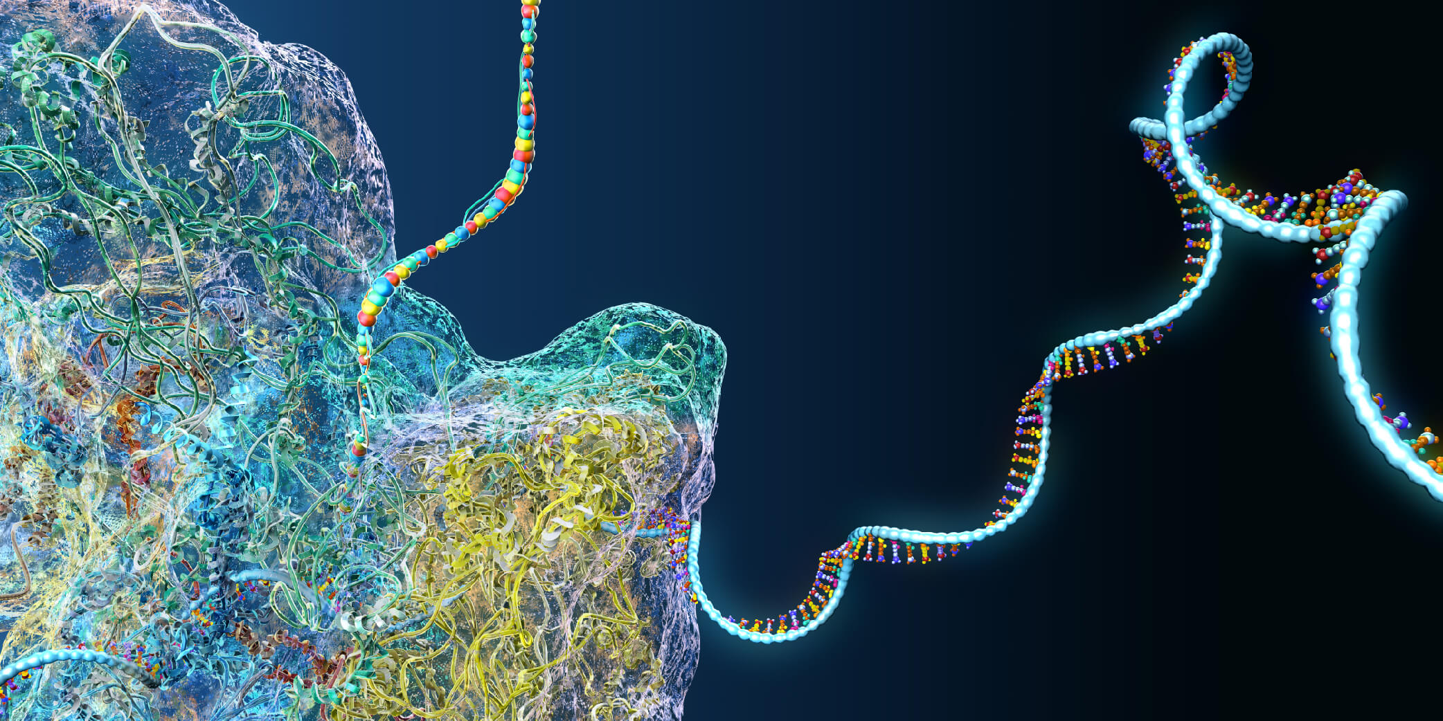 RNA molecule