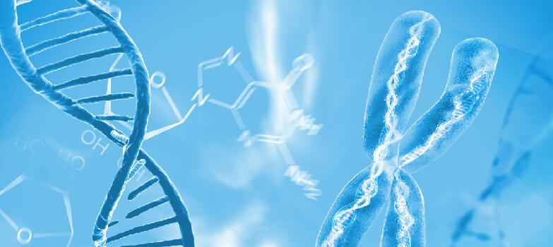 Chromosome Conformation Capture